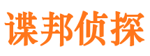 泌阳调查公司